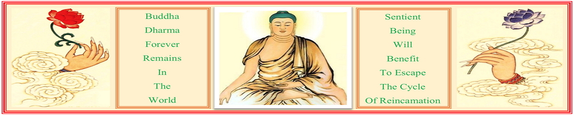 Buddha Blessed Temple Blog